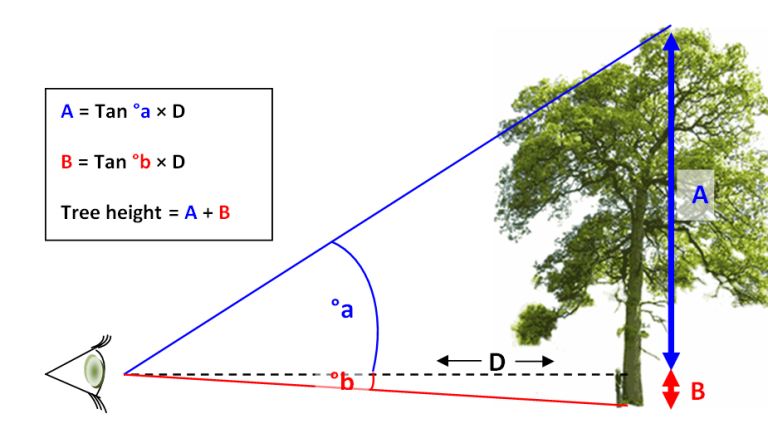 how-to-find-height-in-trigonometry-height-of-triangle